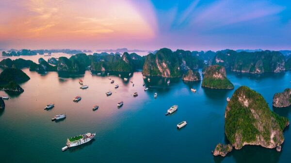 To Chuc Team Building Ha Long Tu A Z